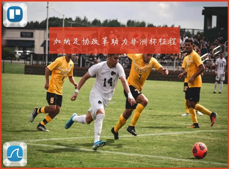 加纳足协改革助力非洲杯征程