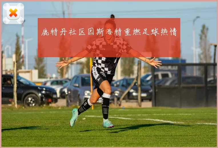 鹿特丹社区因斯洛特重燃足球热情