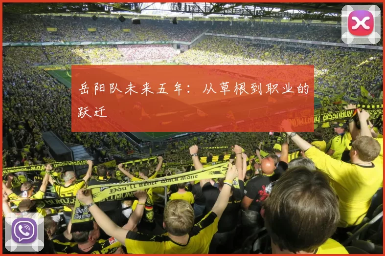 岳阳队未来五年：从草根到职业的跃迁
