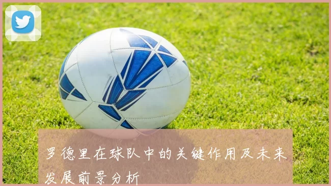 罗德里在球队中的关键作用及未来发展前景分析