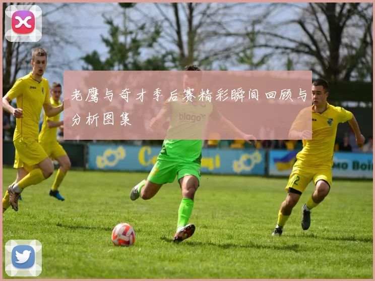 老鹰与奇才季后赛精彩瞬间回顾与分析图集