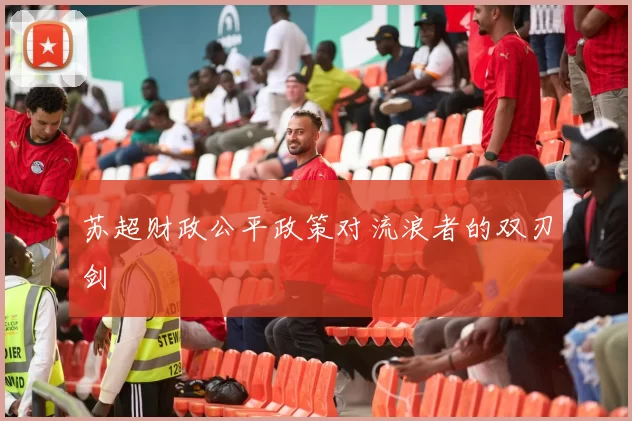 苏超财政公平政策对流浪者的双刃剑