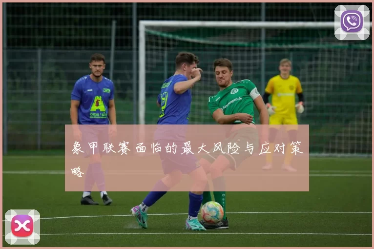 象甲联赛面临的最大风险与应对策略
