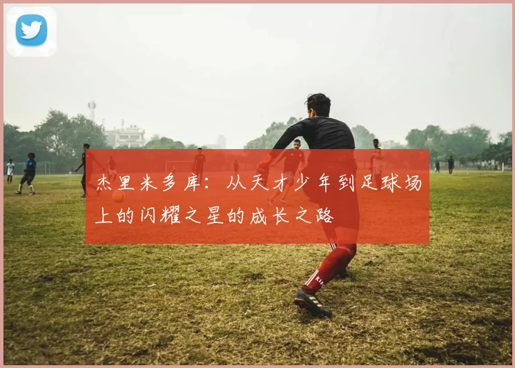 杰里米多库：从天才少年到足球场上的闪耀之星的成长之路