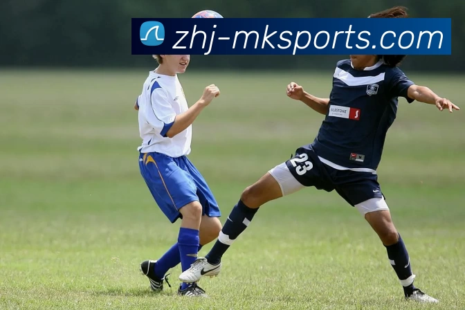 App Interface Preview